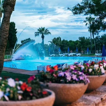 Vilanova Park Campsite
