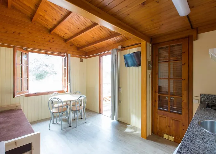 Vilanova Park אתר קמפינג 3*